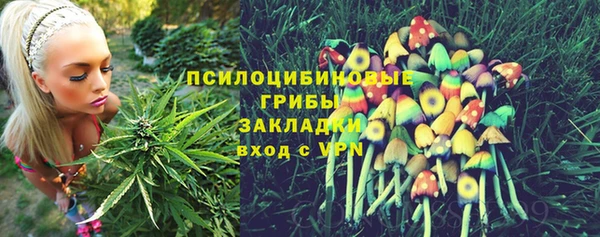 синтетический гашиш Алексеевка